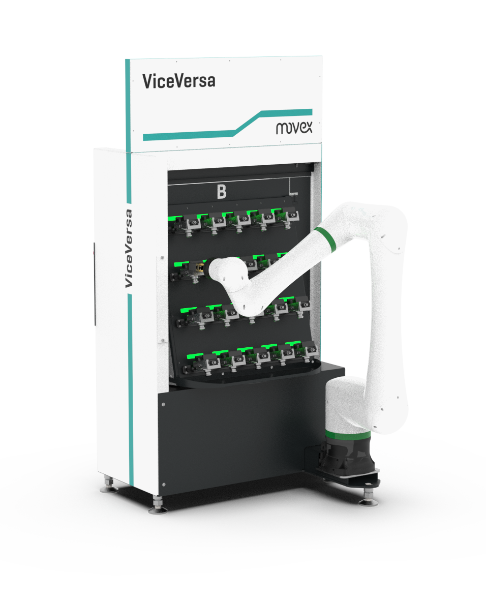 ViceVersa